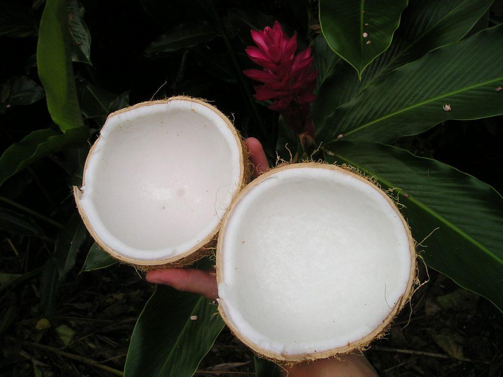 jajanan berbahan dasar kelapa