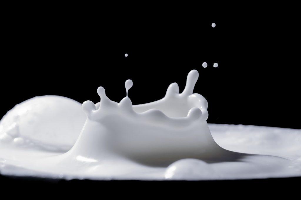 produk makanan dan minuman olahan dengan bahan dasar susu
